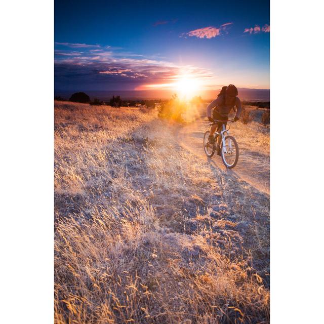 Mountain Biking Sunshine Landscape by Amygdala_imagery - No Frame Art Prints on Canvas 17 Stories Size: 91cm H x 61cm W on Productcaster.