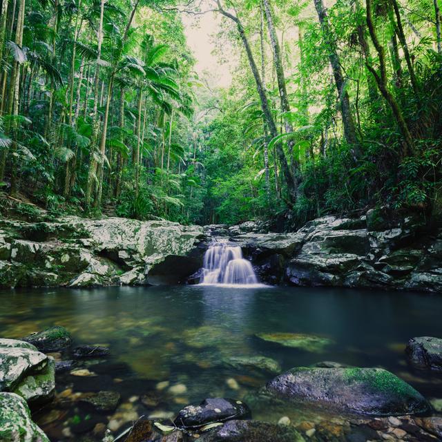 Nightcap National Park - Waterfall by Turnervisual - No Frame Print on Canvas Alpen Home Size: 122cm H x 122cm W on Productcaster.