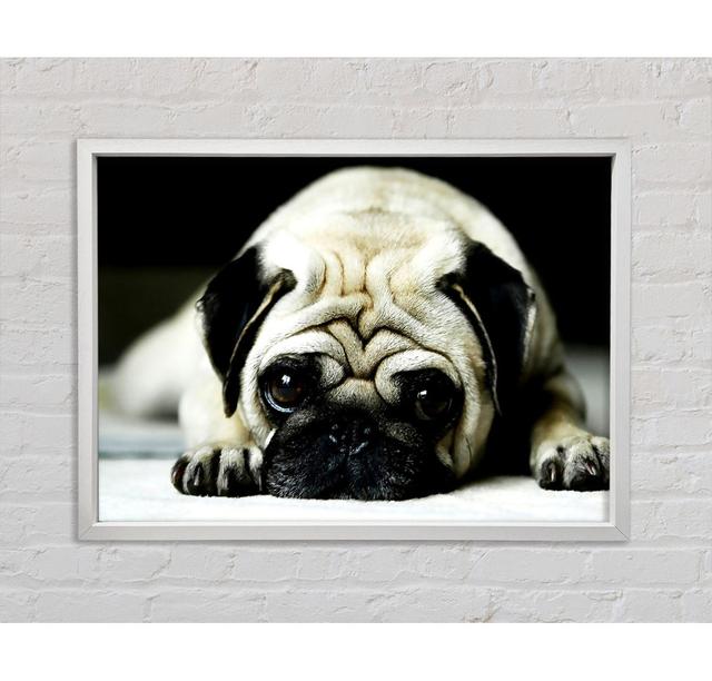 Pug - Single Picture Frame Art Prints on Canvas Ebern Designs Size: 84.1cm H x 118.9cm W x 3.3cm D on Productcaster.