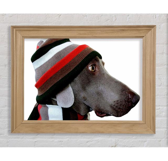 Dog Funny Hat Framed Print Bright Star Size: 42cm H x 59.7cm W on Productcaster.