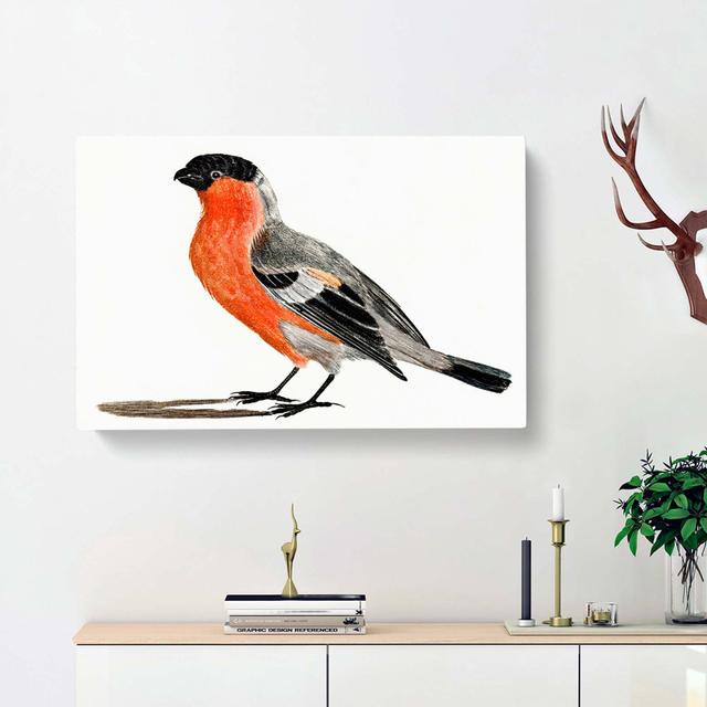 A Bullfinch by Johan Teyler - Wrapped Canvas Painting Print East Urban Home Size: 40cm H x 60cm W x 3cm D on Productcaster.