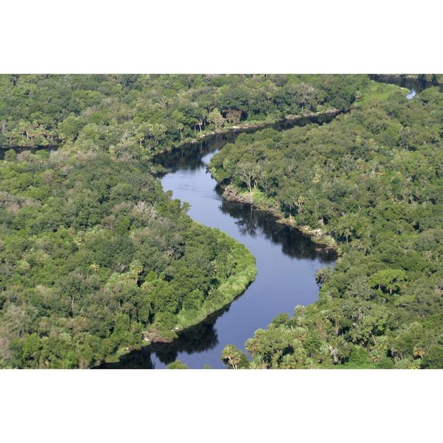 Latrone Wild Florida River - Wrapped Canvas Print 17 Stories Size: 61cm H x 91cm W x 3.8cm D on Productcaster.