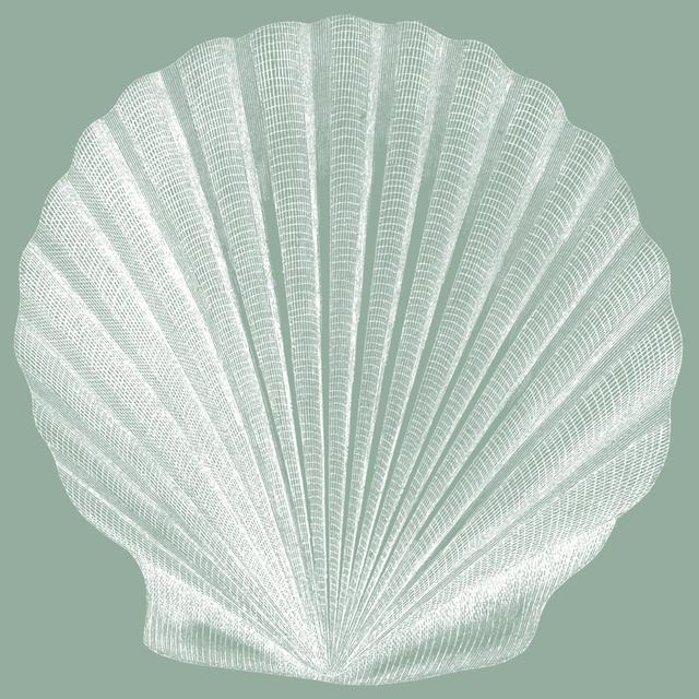 Seabreeze Shells II Highland Dunes Size: 122cm H x 122cm W on Productcaster.