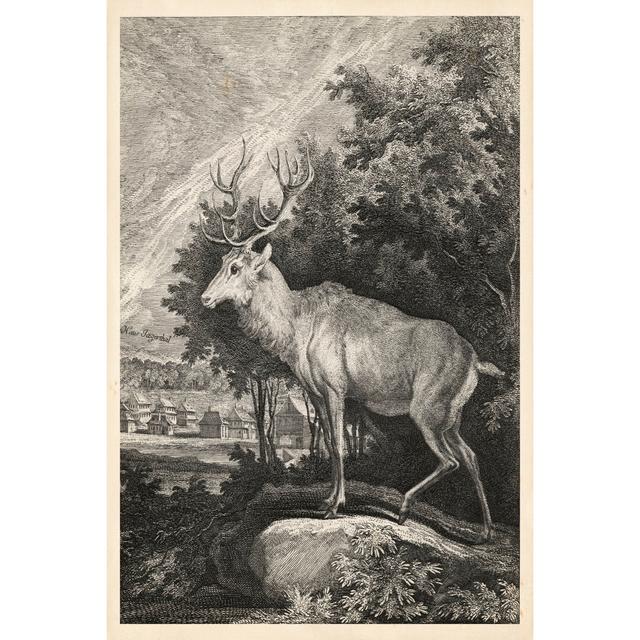 Woodland Deer II - Wrapped Canvas Graphic Art Union Rustic Size: 46cm H x 30cm W x 3.8cm D on Productcaster.