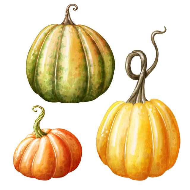 Watercolor Pumpkins by Wacomka - Wrapped Canvas Art Prints Brambly Cottage Size: 40cm H x 40cm W on Productcaster.