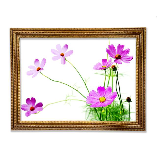 Pink Daisy Bloom Framed Print Ebern Designs Size: 84.1cm H x 118.9cm W on Productcaster.