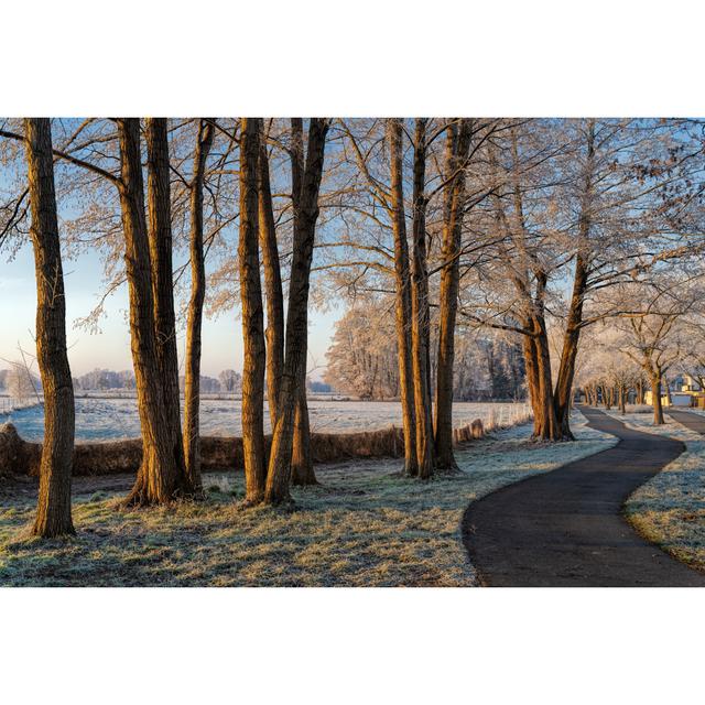 Cold Sunny Winter Morning by RelaxFoto.de - No Frame Print on Canvas Latitude Run Size: 50cm H x 75cm W on Productcaster.