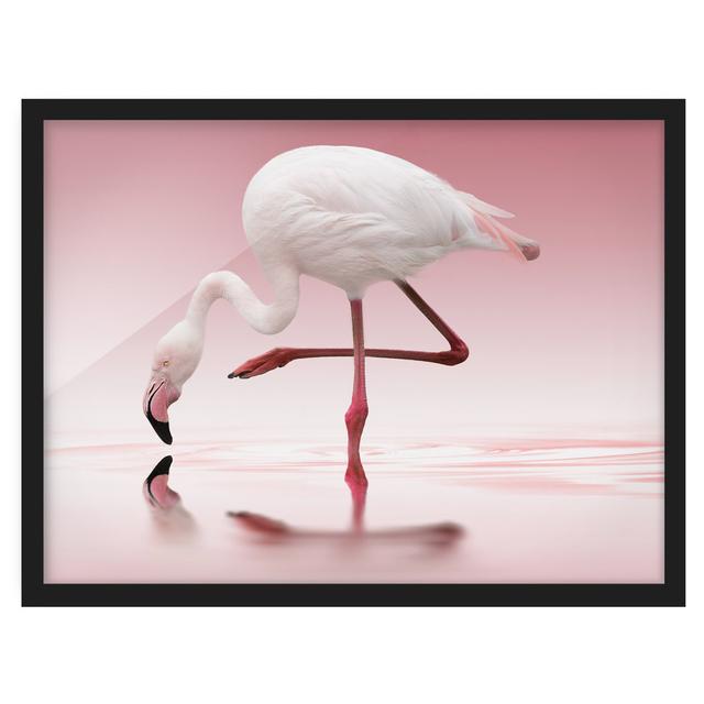 Flamingo Dance - Picture Frame Graphic Art 17 Stories Size: 30cm H x 40cm W x 2cm D, Frame Option: Black Framed on Productcaster.