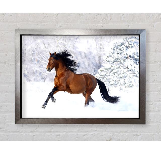 Racing Horse - Print Bright Star Size: 100cm H x 141.4cm W x 3.4cm D on Productcaster.