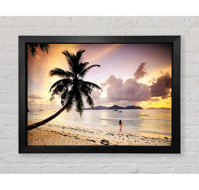 Rainbow Paradise Framed Print House of Hampton Size: 59.1cm H x 84.1cm W on Productcaster.