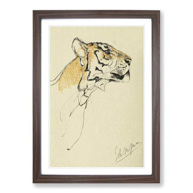 Study of a Tiger Vol.2 by John Macallan Swan - Picture Frame Painting East Urban Home Frame Option: Walnut Framed, Size: 36cm H x 27cm W x 2cm D on Productcaster.