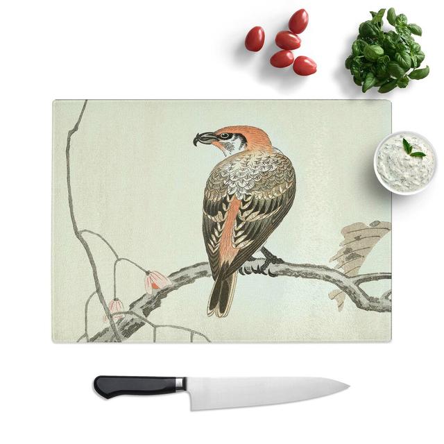 Tempered Glass Crossbill on a Tree Branch Chopping Board East Urban Home Size: 28.5 cm W x 20 cm L on Productcaster.