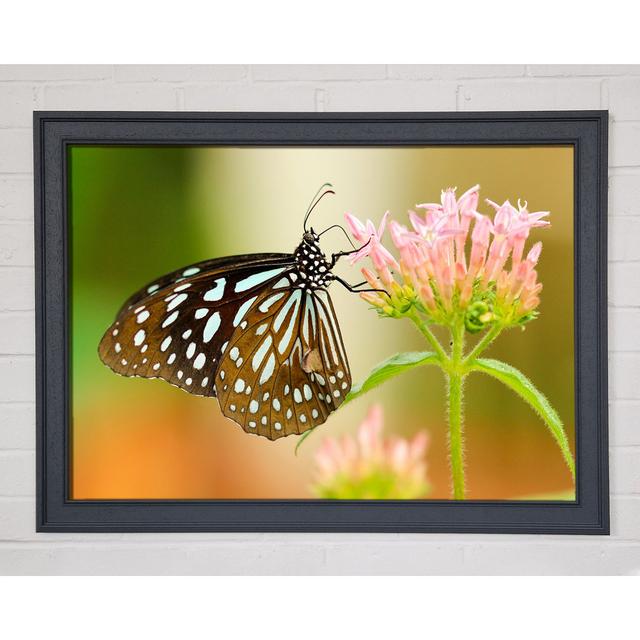 Single Picture Frame Art Prints August Grove Size: 42cm H x 59.7cm W on Productcaster.