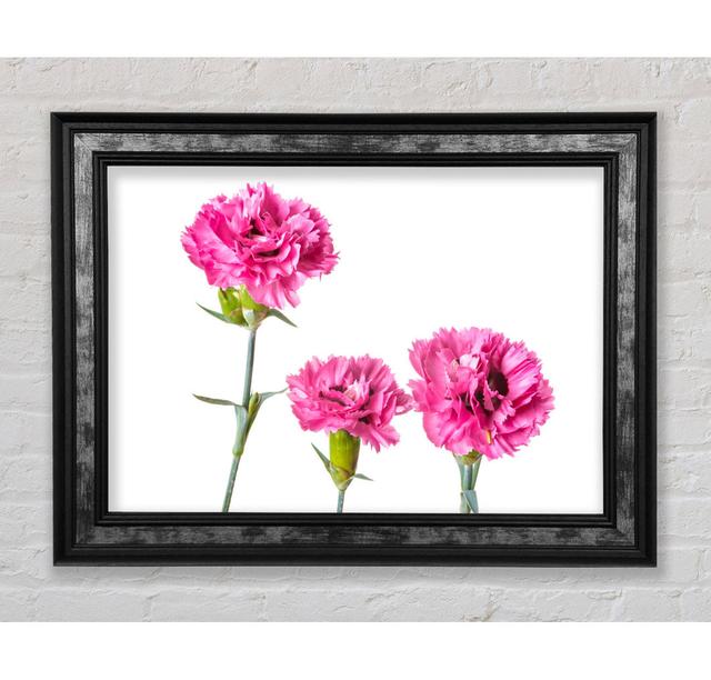 Pink Flowers Standing Up Framed Print Ophelia & Co. Format: Silver Black Framed Paper, Size: 100cm H x 141.4cm W x 8cm D on Productcaster.