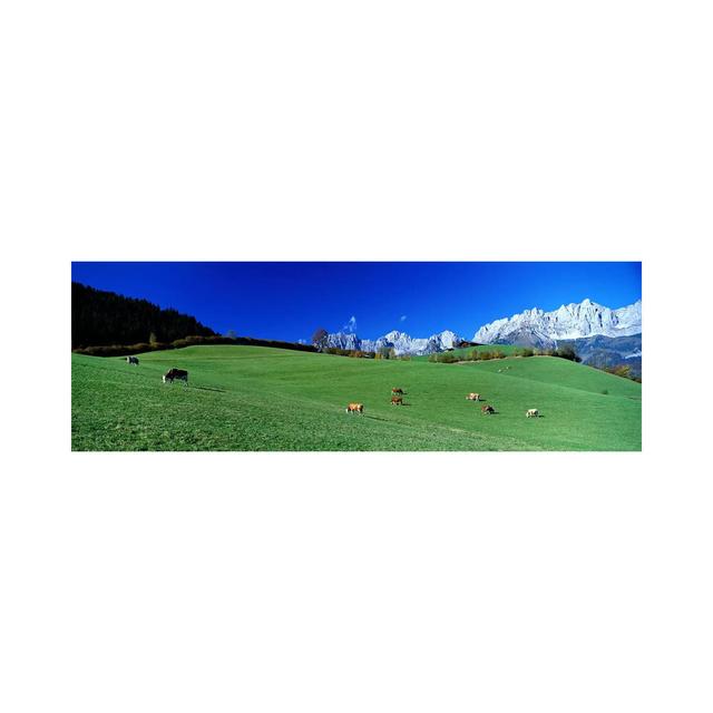 Cattle Graze In Alps Wilder Kaiser Going Austria - Wrapped Canvas Panoramic Print Ebern Designs Size: 40.64cm H x 121.92cm W x 3.81cm D on Productcaster.