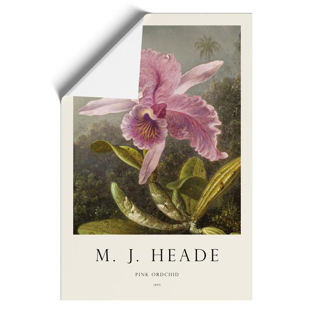 Pink Orchids by Martin Johnson Heade - Unframed Graphic Art East Urban Home Size: 42cm H x 30cm W x 0.1cm D on Productcaster.