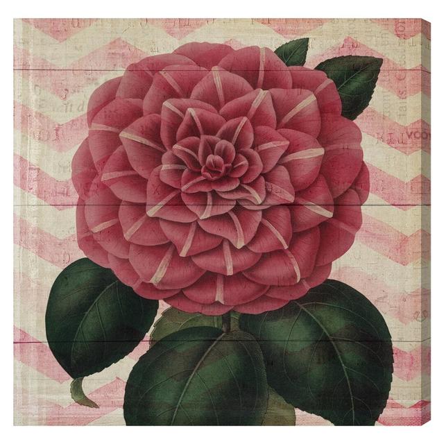 Striped Camellia Graphic Art Wrapped on Canvas Lily Manor Size: 76cm H x 76cm W on Productcaster.