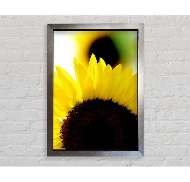 Vibrant Sunflower - Single Picture Frame Art Prints Bright Star Size: 59.7cm H x 42cm W x 3.4cm D on Productcaster.