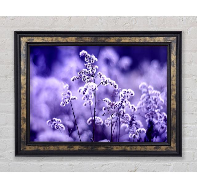 Motion Blur - Single Picture Frame Art Prints Bright Star Size: 59.7cm H x 84.1cm W x 8cm D on Productcaster.