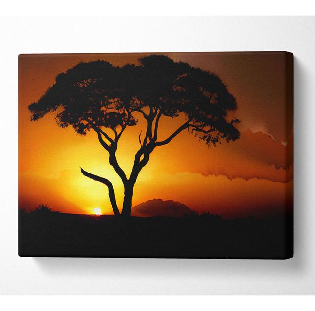 African Tree In Golden Sunlight - Print Latitude Run Size: 66cm H x 106.6cm W x 10cm D on Productcaster.