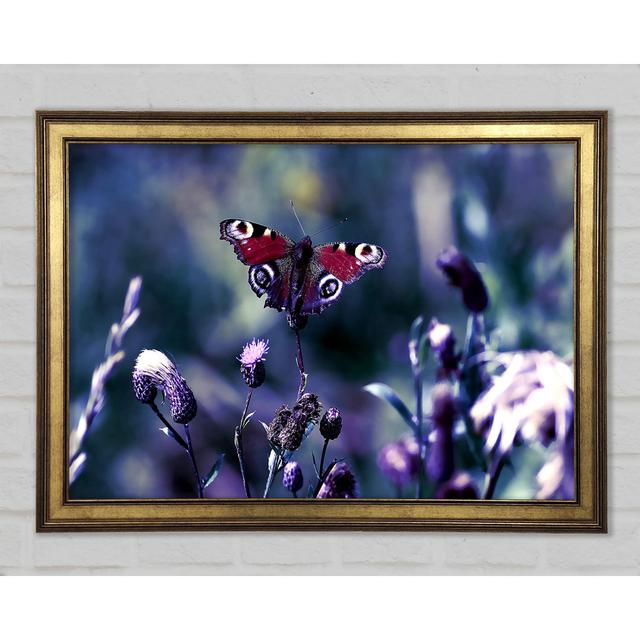 Butterfly With Open Wings - Single Picture Frame Art Prints Ebern Designs Size: 29.7cm H x 42cm W x 1.5cm D on Productcaster.