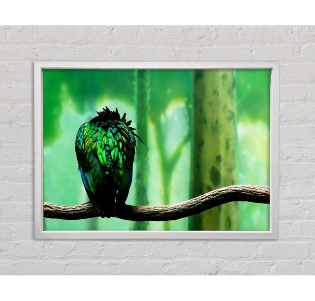 Parrot Perch Framed Print 17 Stories Size: 100cm H x 141.4cm W x 3.3cm D on Productcaster.