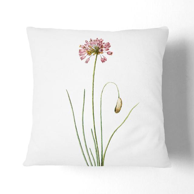 Autumn Onion Flowers by Pierre-Joseph Redoute Cushion with Filling East Urban Home Backing Colour: White, Size: 55 x 55 cm on Productcaster.