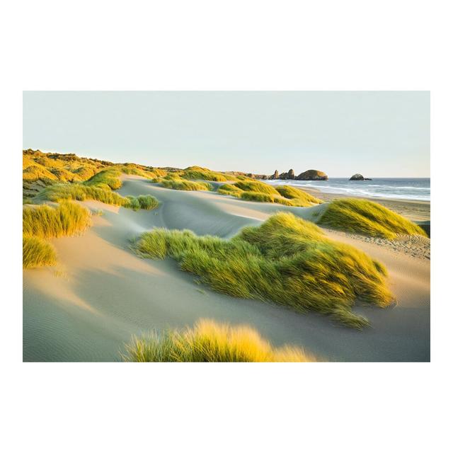 Dunes and Grass by the Sea 2.55m x 3.84m Textured Matte Peel & Stick Wall Mural East Urban Home on Productcaster.