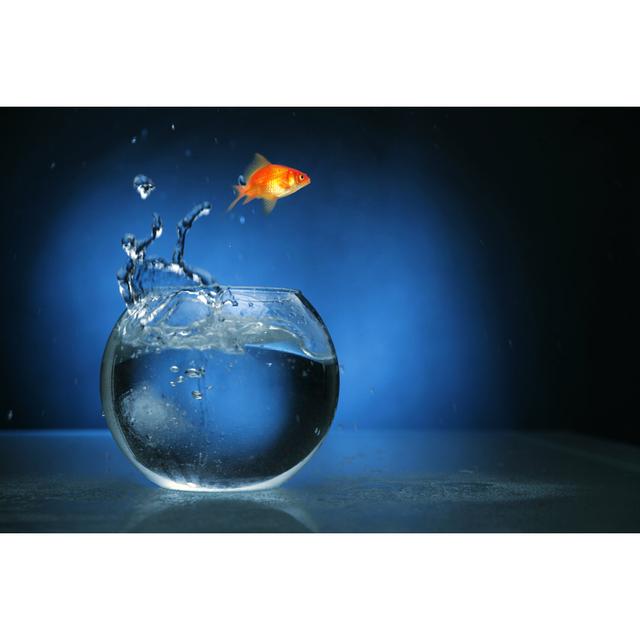 Goldfish Jumping With Blue Light by Lisegagne - No Frame Art Prints on Canvas Beachcrest Home Size: 51cm H x 76cm W on Productcaster.