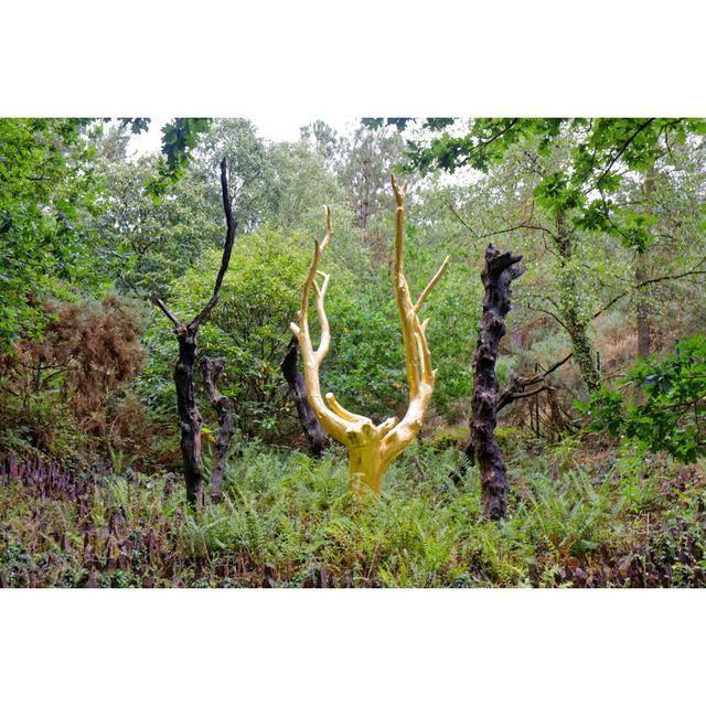 The Golden Tree In Broceliande Forest by Thierry64 - Wrapped Canvas Print Alpen Home Size: 30cm H x 46cm W on Productcaster.