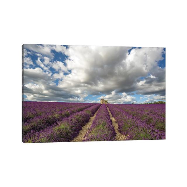 France, Provence, Valensole Plateau. Lavender Rows and Stone Building Ruin. by Jaynes Gallery - Wrapped Canvas Art Prints Latitude Run Size: 30.48cm H on Productcaster.