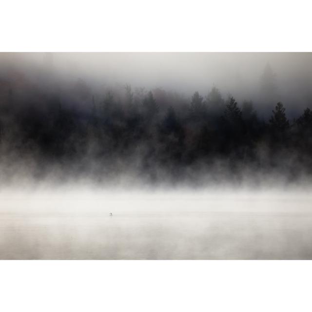 Foggy Forest by Igorkov - Wrapped Canvas Photograph 17 Stories Size: 61cm H x 91cm W on Productcaster.