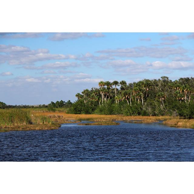 Scenic Wetlands - Wrapped Canvas Print 17 Stories Size: 61cm H x 91cm W x 3.8cm D on Productcaster.