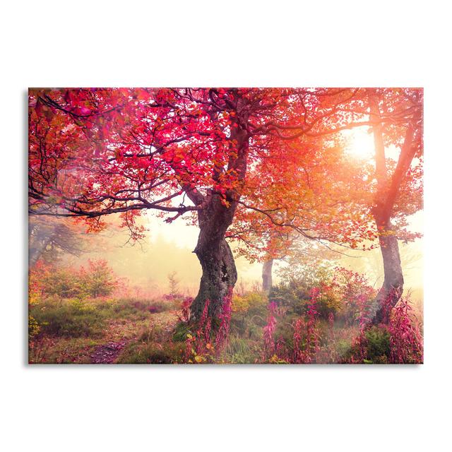 Dreamy Autumn Landscape - Unframed Photograph on Glass Brayden Studio Size: 60cm H x 80cm W on Productcaster.