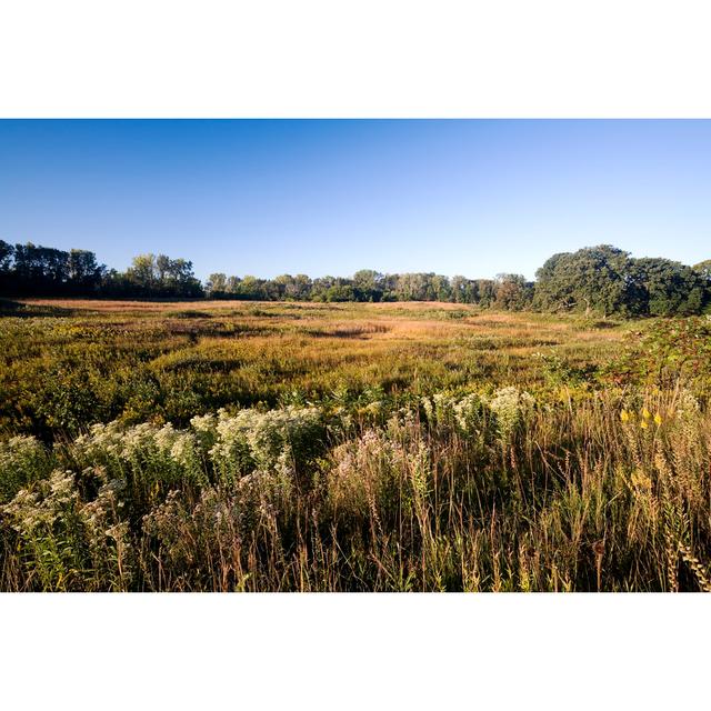 Late Summer At The Fen by Stevegeer - Wrapped Canvas Art Prints 17 Stories Size: 81cm H x 122cm W on Productcaster.