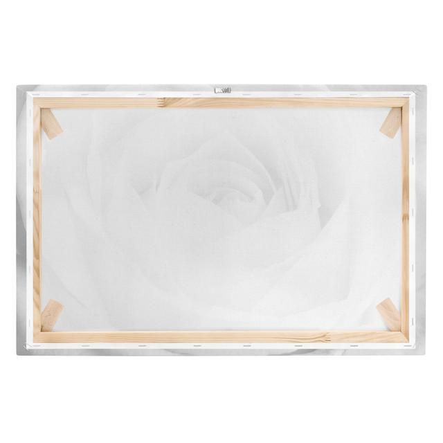 Black and White Close Up Rose Wall Art on Canvas Ebern Designs Format: 260g/m² canvas, Frame Option: Black/White, Size: 40cm H x 60cm W on Productcaster.