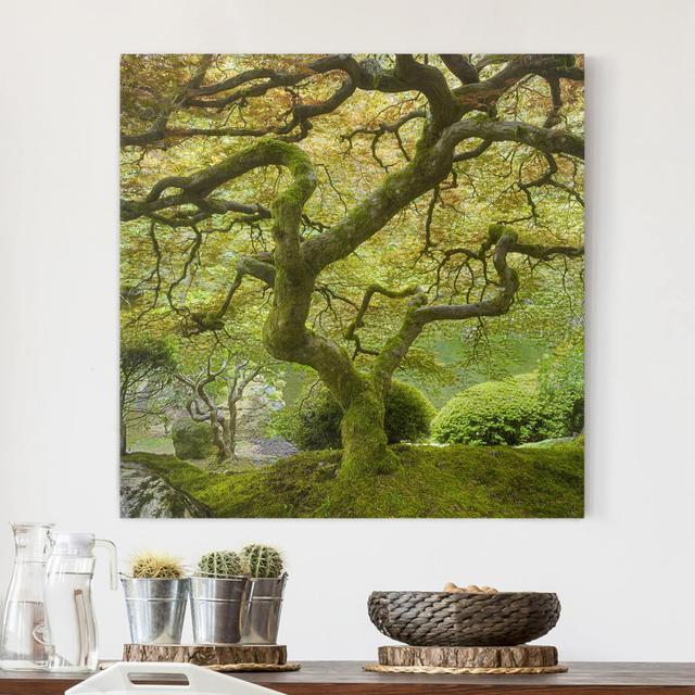 Green Japanese Garden - Wrapped Canvas Photograph Union Rustic Format: Canvas 260g/m², Size: 80cm H x 80cm W on Productcaster.