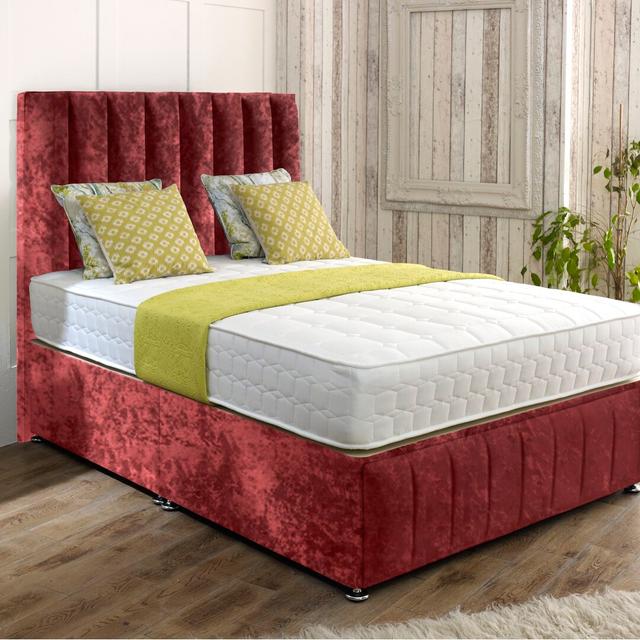 Caulfield Divan Bed Rosdorf Park Colour: Red, Storage Type: 4 Drawers, Size: Double (4'6) on Productcaster.