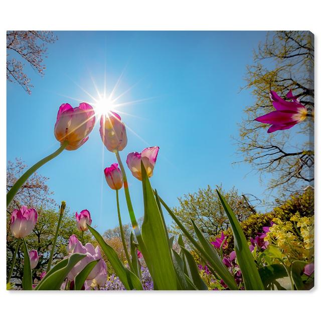 'Curro Cardenal - Garden Full of Flowers III' - Wrapped Canvas Photograph Print East Urban Home Size: 60.96cm H x 71.12cm W x 3.81cm D on Productcaster.