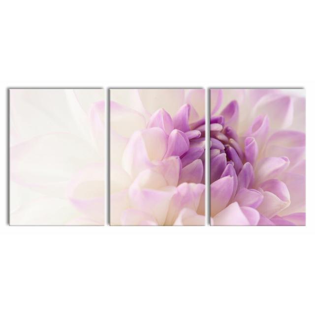 Fabulous Purple White Flower - 3 Piece Wrapped Canvas Photograph Print Set East Urban Home Size: 100 cm H x 210 cm W on Productcaster.