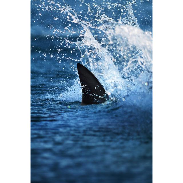 Glimpse Of Big Shark Fin In Splashing Water by Ramihalim - No Frame Art Prints on Canvas Beachcrest Home Size: 122cm H x 81cm W on Productcaster.