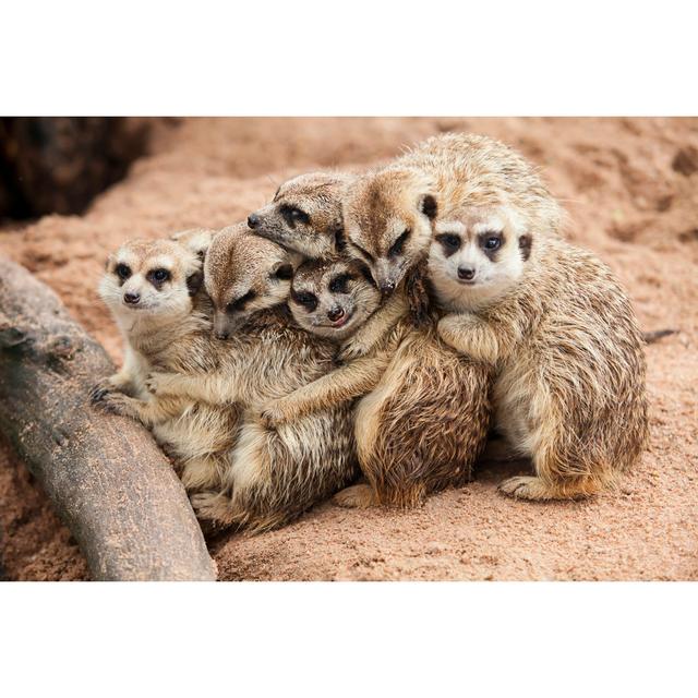 Meerkat Family Huddled Together Near Tree Root by Nattanan726 - Wrapped Canvas Print Ebern Designs Size: 30cm H x 46cm W x 3.8cm D on Productcaster.