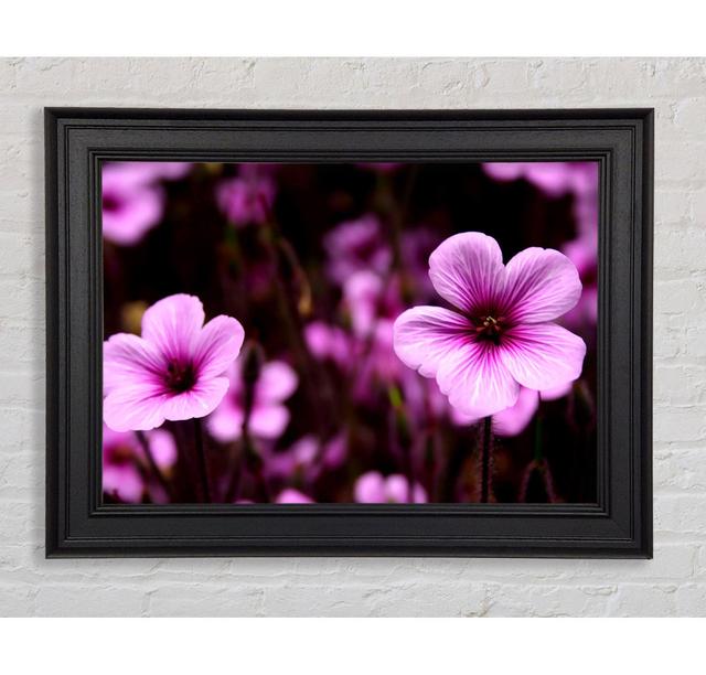 Purple Trumpets - Single Picture Frame Art Prints Ebern Designs Size: 59.7cm H x 84.1cm W x 8cm D on Productcaster.