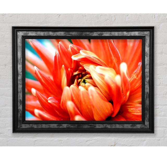 Orange Passion - Single Picture Frame Art Prints Bright Star Size: 59.7cm H x 84.1cm W x 8cm D on Productcaster.