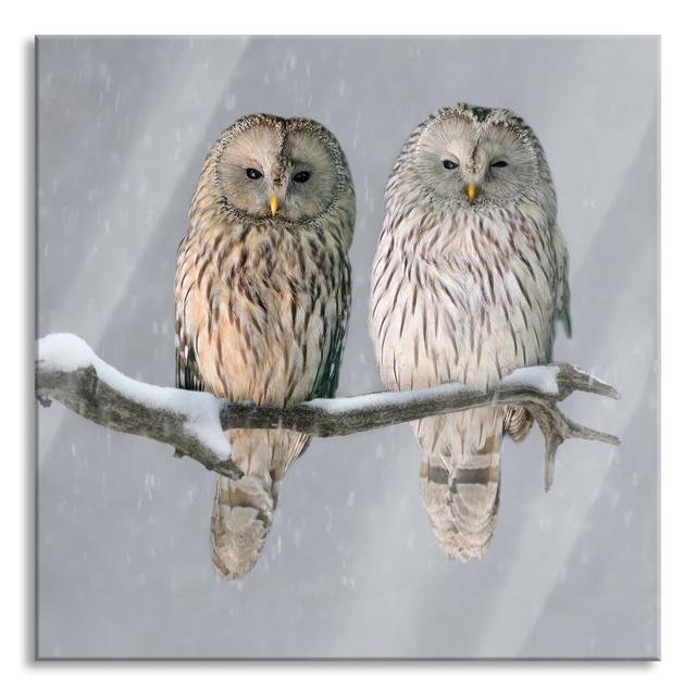 Two Owls in a Winter Landscape - Unframed Photograph on Glass Union Rustic Size: 70cm H x 70cm W x 0.4cm D on Productcaster.