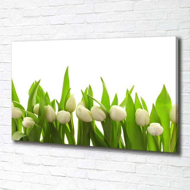 White Tulips - Wrapped Canvas Art Prints Brayden Studio on Productcaster.