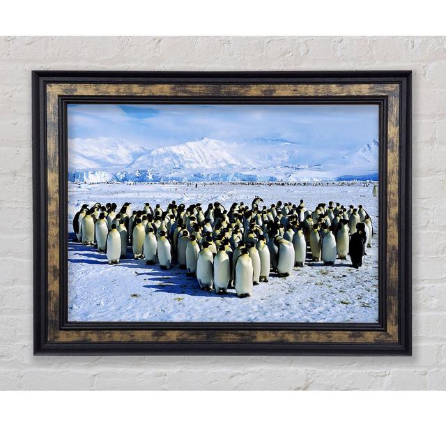 Penguin Cuddle Framed Print Latitude Run Format: Gold/Black Framed Paper, Size: 59.7cm H x 84.1cm W x 8cm D on Productcaster.