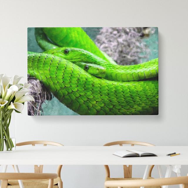 Green Mamba Snakes - Wrapped Canvas Graphic Art East Urban Home Size: 50cm H x 76cm W x 3cm D on Productcaster.