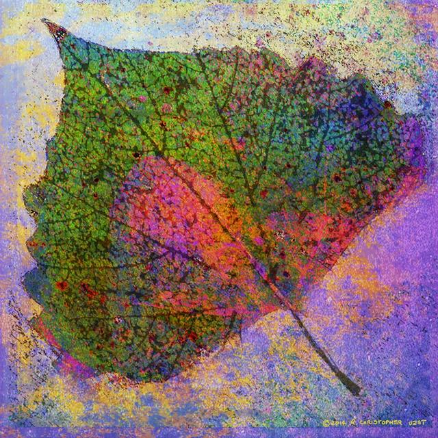 Cottonwood Leaf 3' Art Print Wrapped on Canvas East Urban Home Size: 122cm H x 122cm W x 3.8cm D on Productcaster.