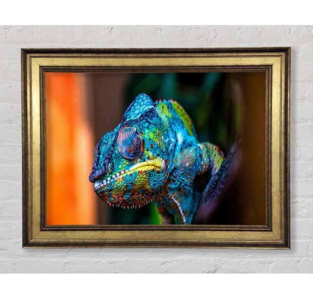 Chameleon Up Close - Print Bright Star Size: 21cm H x 42cm W x 8cm D on Productcaster.